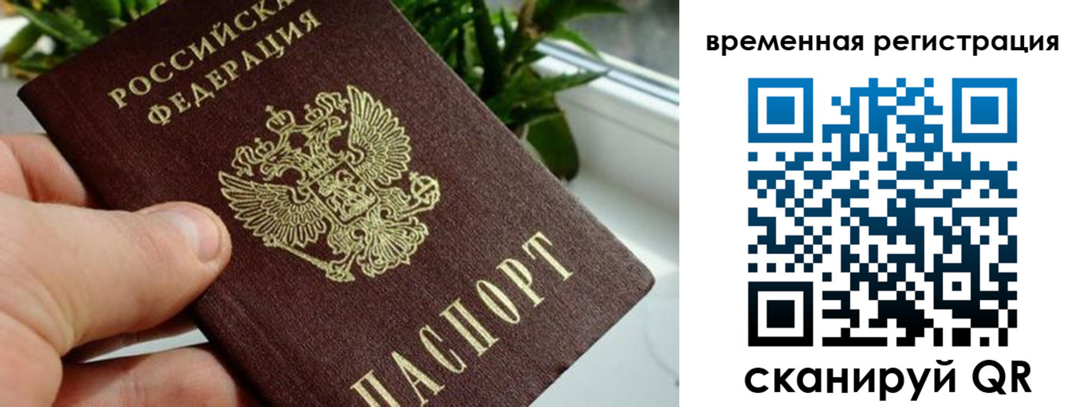 прописка поиск в Щиграх