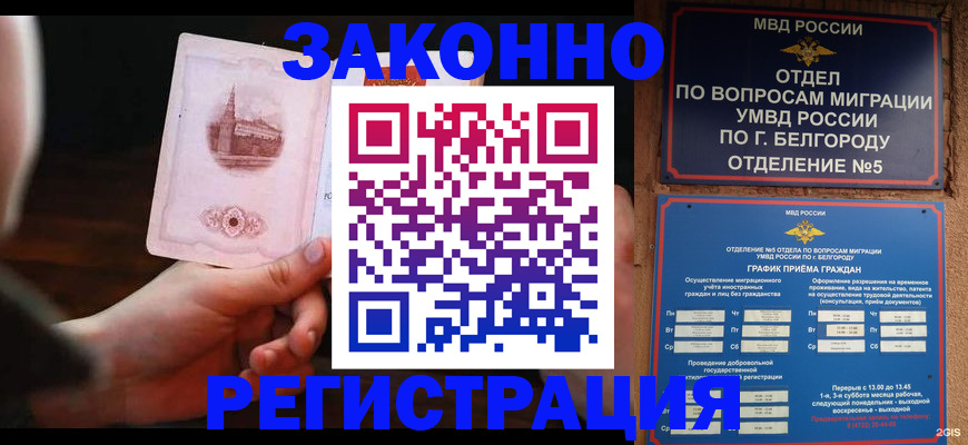 прописка 2025 в Щиграх